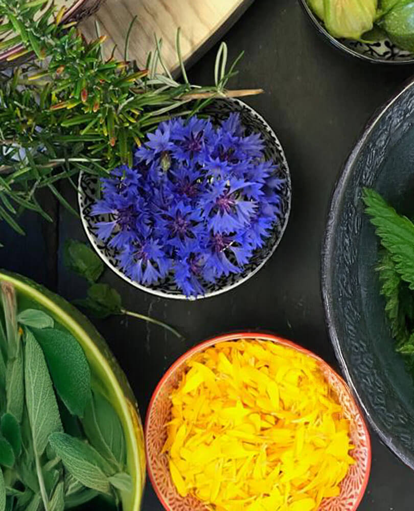 Bunte Schalen mit frischen Kräutern, lila und gelben essbaren Blumen auf einer dunklen Fläche. - Hotel Magdalenahof