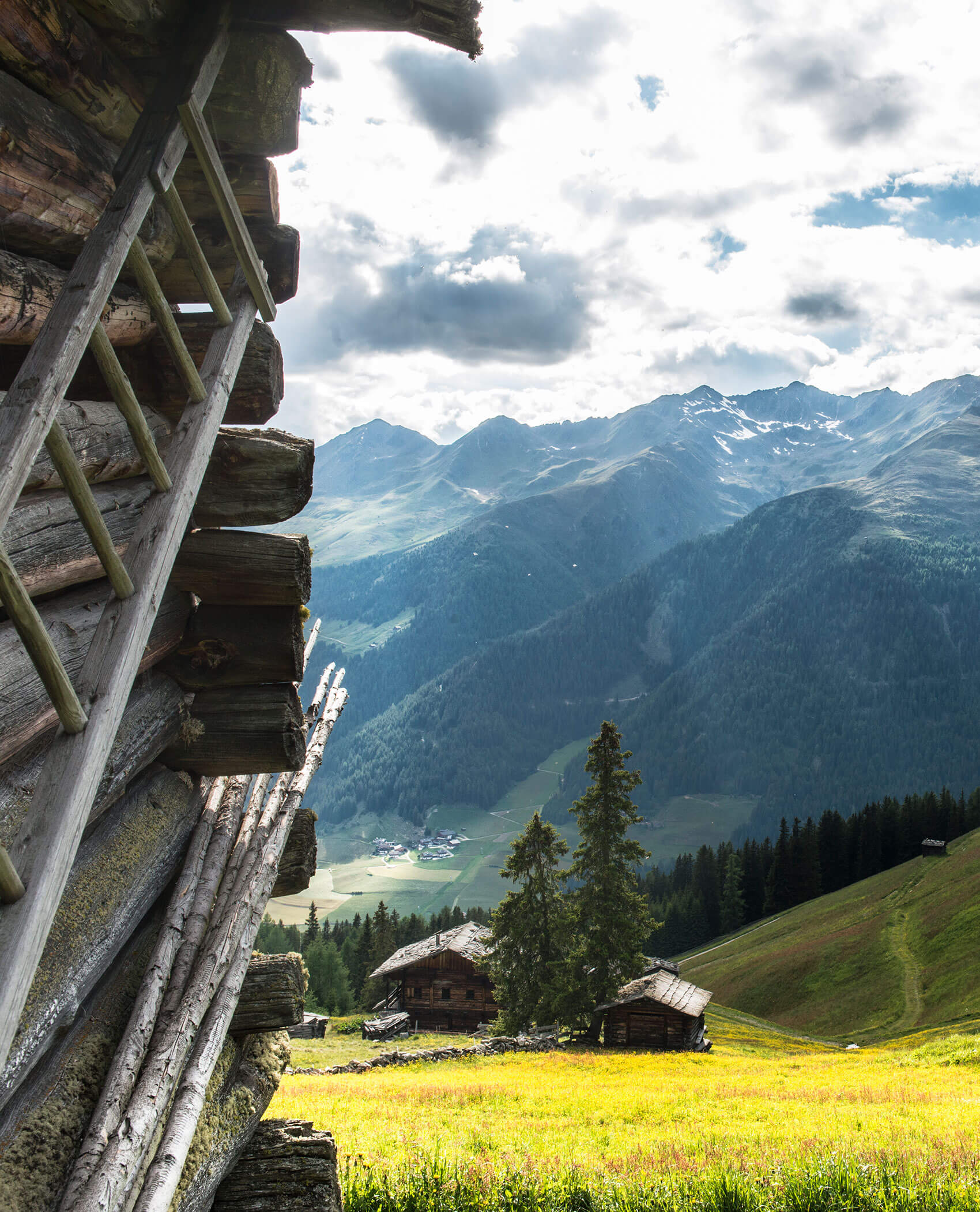 Wooden cabins on a grassy hillside with distant mountains and a cloudy sky in the background. - Hotel Magdalenahof
