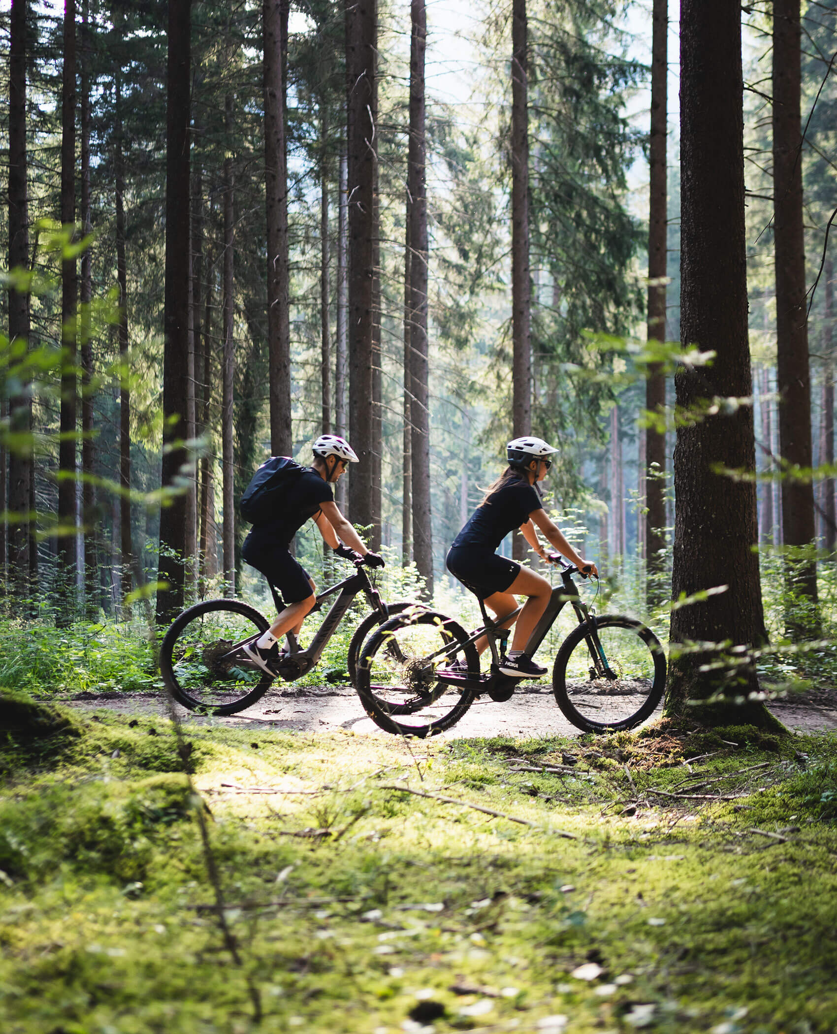 Zwei Personen fahren mit dem Fahrrad auf einem sonnenbeschienenen Waldweg, der von hohen Bäumen und Grünflächen umgeben ist. - Hotel Magdalenahof