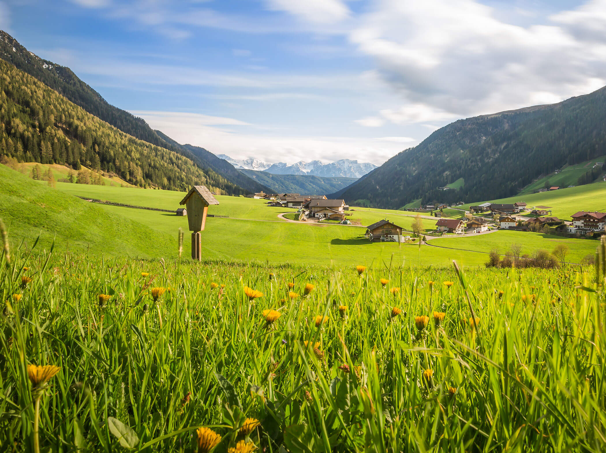 Sonniges grünes Tal mit Wildblumen, verstreuten Häusern und Bergen im Hintergrund unter blauem Himmel. - Hotel Magdalenahof