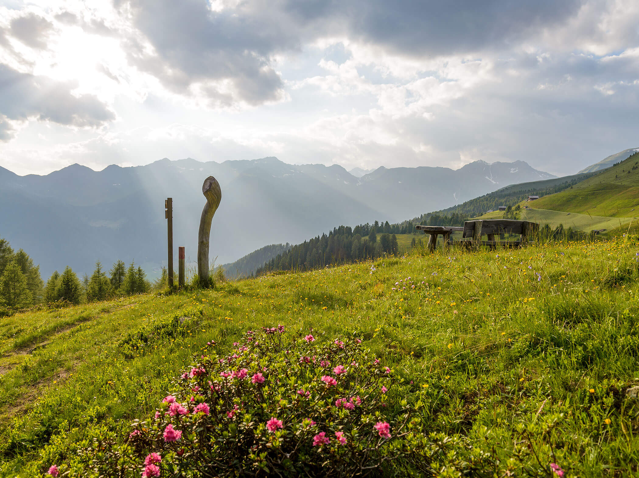 Wildblumen auf einer Wiese mit Holzbänken, Berge und Sonnenstrahlen, die in der Ferne durch die Wolken scheinen. - Hotel Magdalenahof