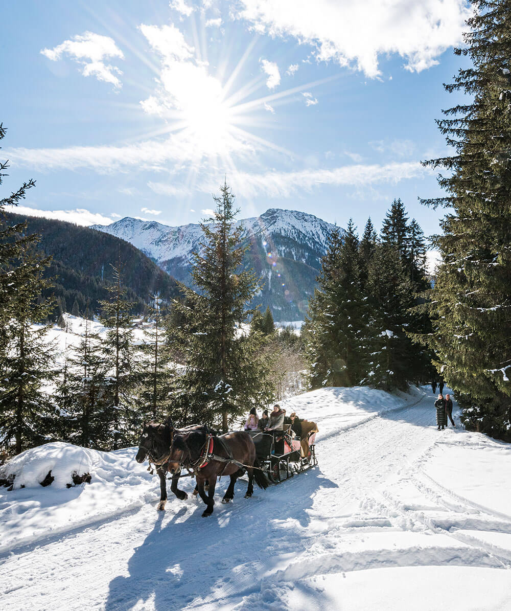 Ein Pferdeschlitten fährt durch verschneite Berge und Pinienwälder unter einem strahlenden, sonnigen Himmel. - Hotel Magdalenahof