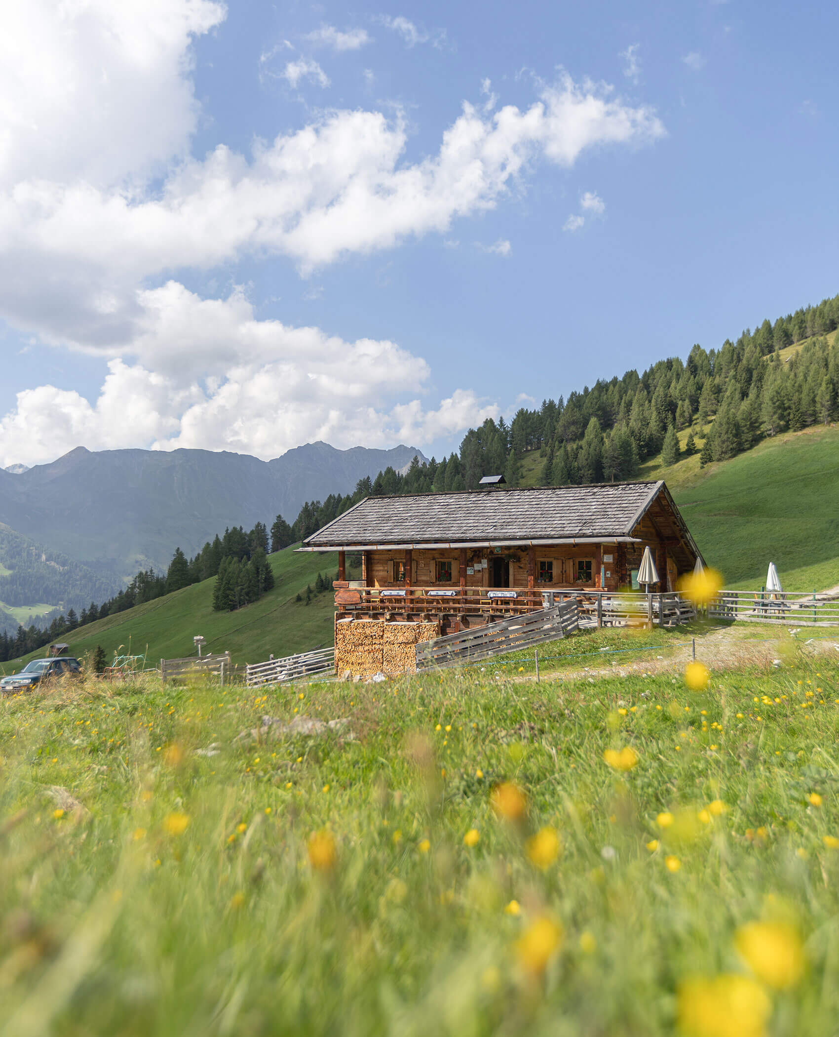 Eine Holzhütte steht auf einem grasbewachsenen Hügel mit gelben Wildblumen und Bergen im Hintergrund. - Hotel Magdalenahof